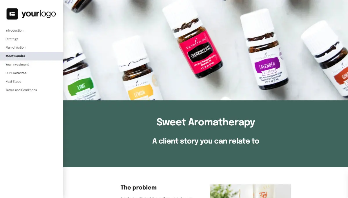 Social Media Posts Proposal Template - Case study example