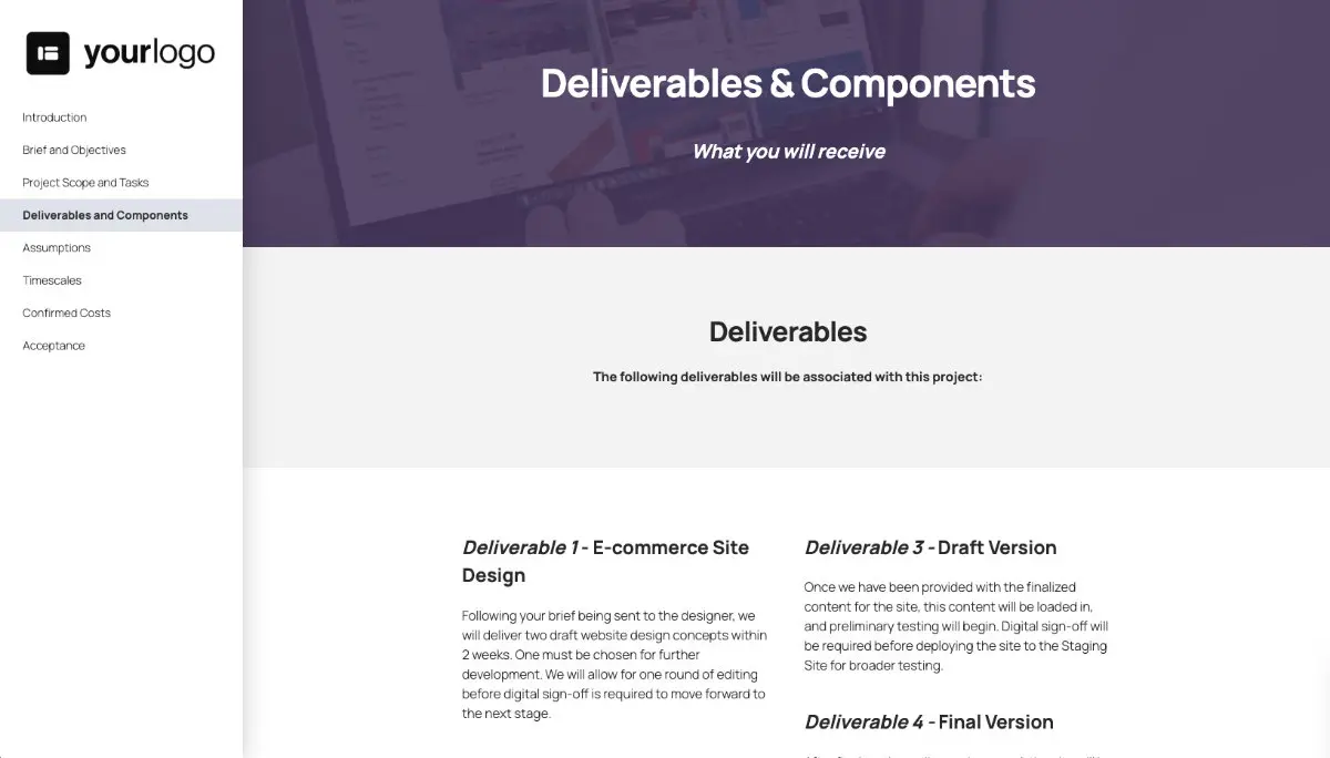 E-commerce Website Statement of Work Slide 5