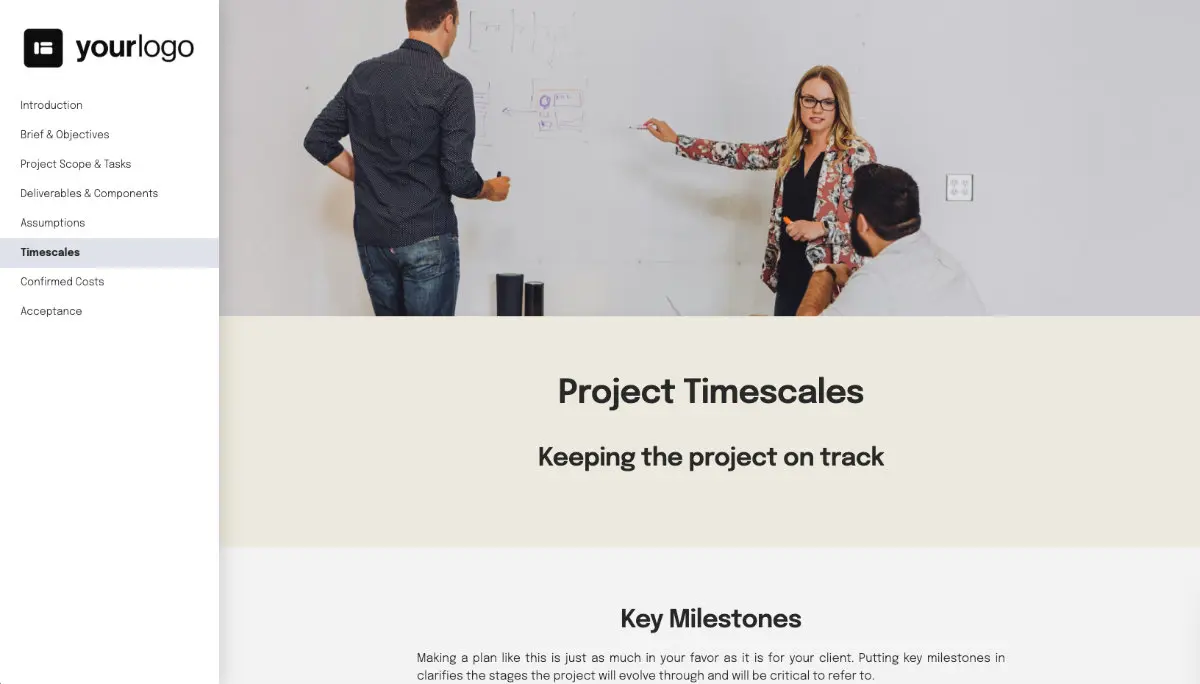 General Statement of Work Template Slide 7